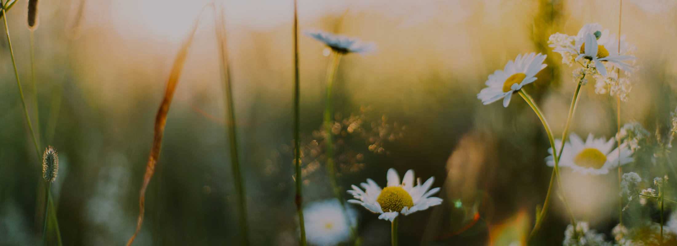 Frühling 2021